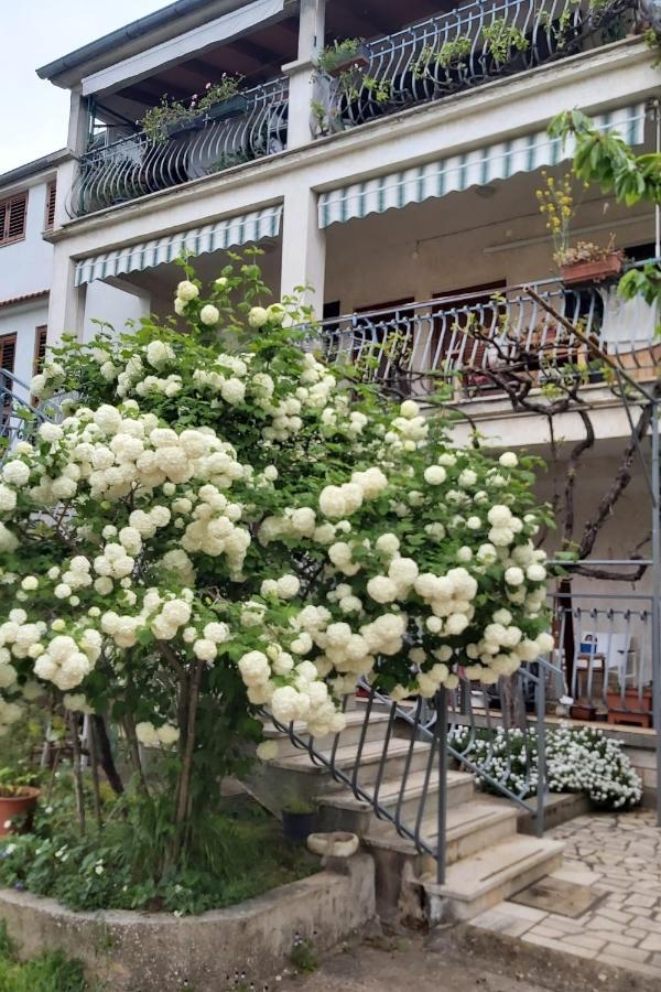 Apartments And Rooms By The Sea Rovinj - 19183 エクステリア 写真
